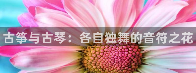 凯发官方手机app：古筝与古琴：各自独舞的音符之花