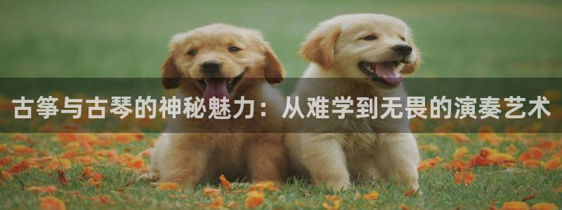 凯发官网登录地址陆地：古筝与古琴的神秘魅力：从难学到无畏的演