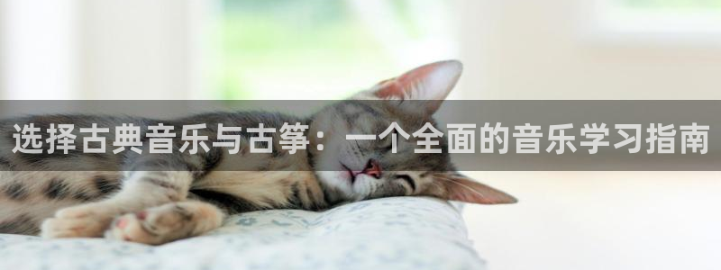 凯发k8手机是正品吗
