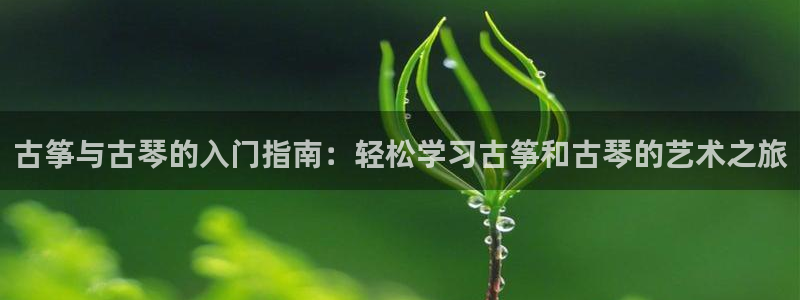 凯发国际平台登录入口官网：古筝与古琴的入门指南：轻松学习古筝