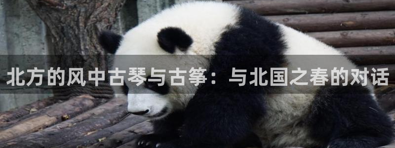 凯发k8娱乐是哪个国家的