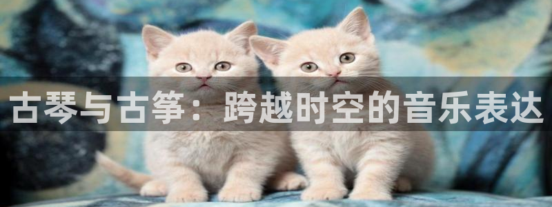 凯发国际网址官网首页