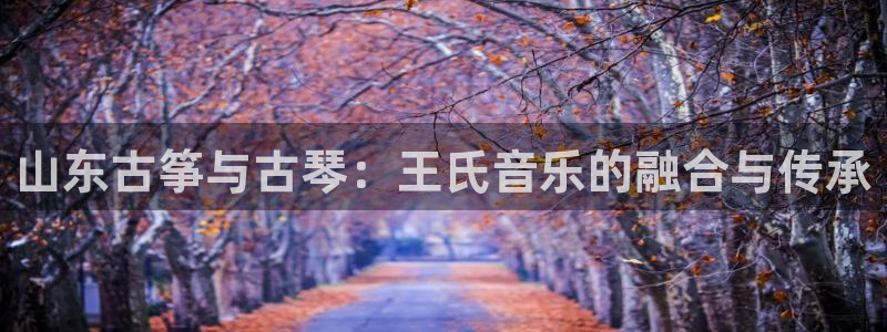 凯发网娱乐官网国际