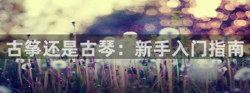 凯发手机官网客户端