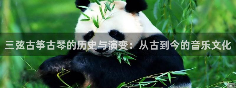 凯发国际平台app