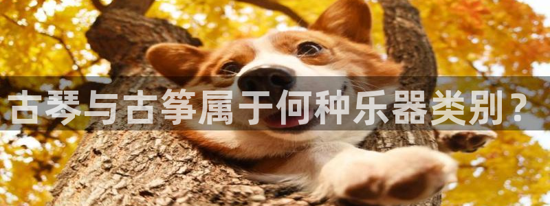 凯发k8娱乐现在还有吗：古琴与古筝属于何种乐器类别？