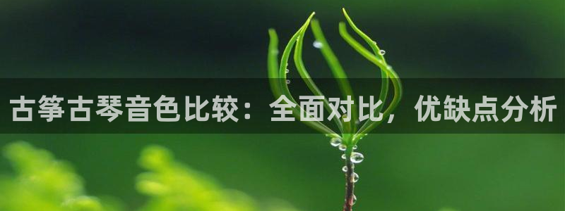 凯发国际网址官网首页：古筝古琴音色比较：全面对比，优缺点分析