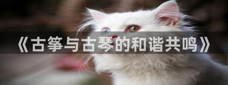 凯发首页：《古筝与古琴的和谐共鸣》